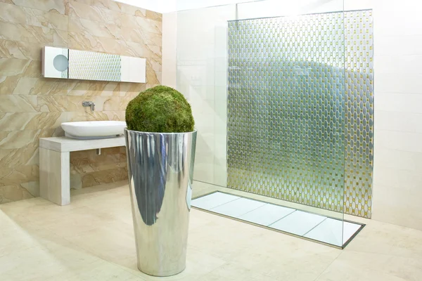Badkamer met grote douche — Stockfoto