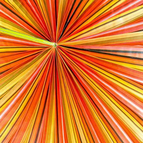 Sombrilla colorida — Foto de Stock