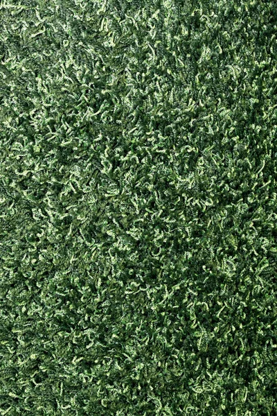Teppich grün — Stockfoto