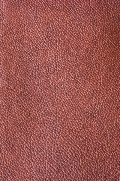 Leather burgundy — Stock Photo, Image