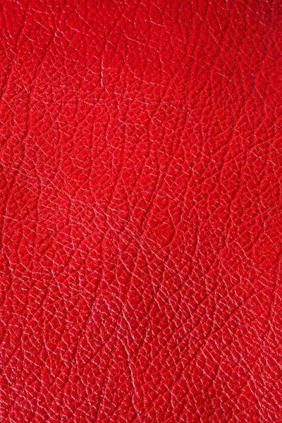 Deri kırmızı — Stok fotoğraf
