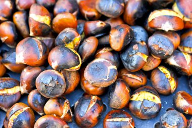 Chestnuts clipart