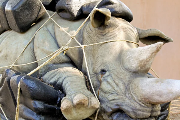 Грустный носорог — стоковое фото