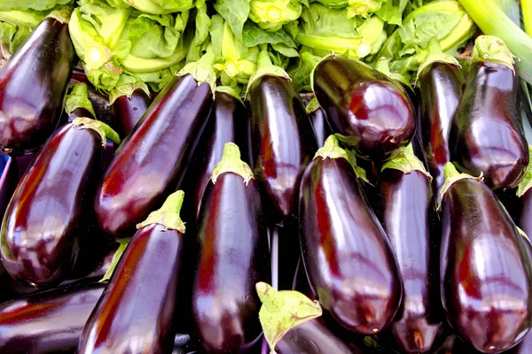 stock image Eggplant market