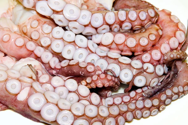 Octopus arms — Stock Photo, Image