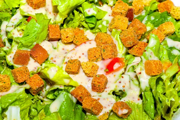 Salat-Detail — Stockfoto