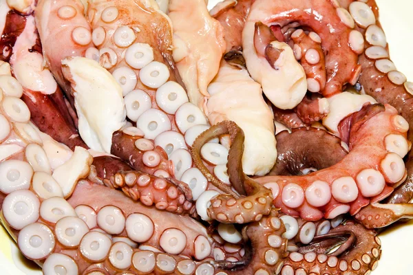 Stock image Fresh octopus