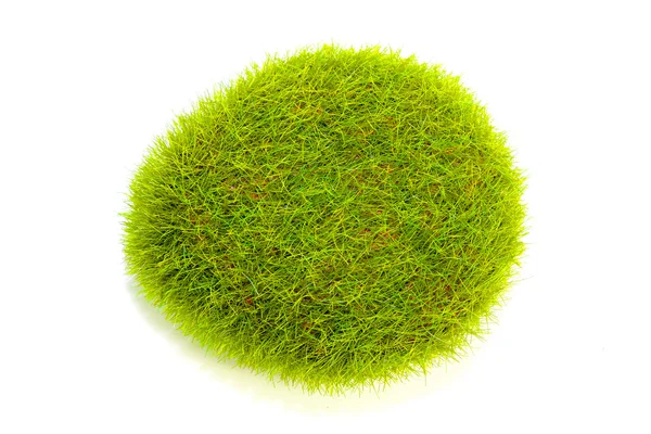 Yeşil çim bush — Stok fotoğraf