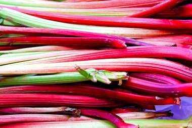 Rhubarb clipart