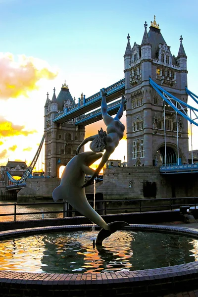 Stock image Girl and dolphin