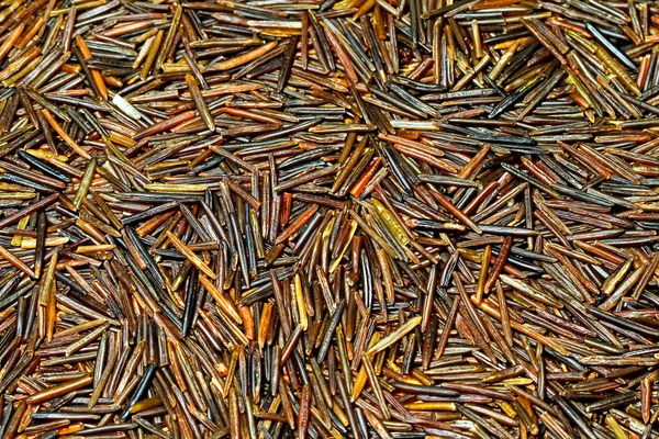 Wild rice pattern — Stock Photo, Image