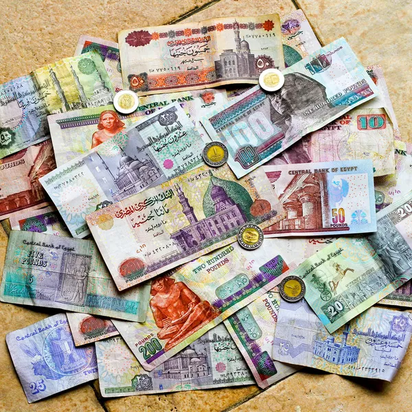 Egyptiska pengar gäng — Stockfoto