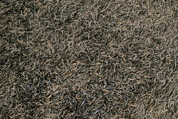 Fekete szőnyeg — Stock Fotó