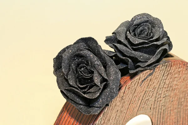 Fekete rózsa — Stock Fotó