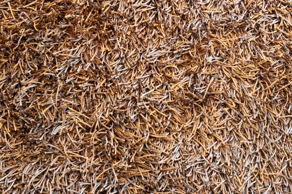 Bruine tapijt — Stockfoto