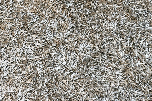 Stříbrný koberec — Stock fotografie