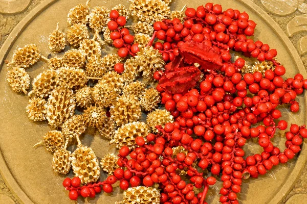 Berry seeds — Stock Photo, Image