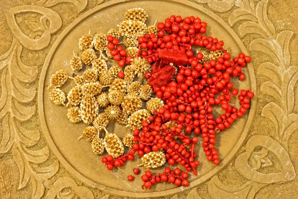 Бриарные семена — стоковое фото