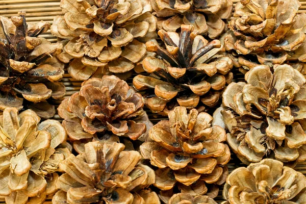 Cones castanhos — Fotografia de Stock