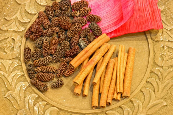 Cinnamon and cones — Stock Photo, Image