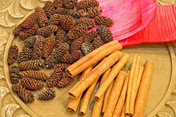 Cinnamon and pinecone — Stock Photo, Image