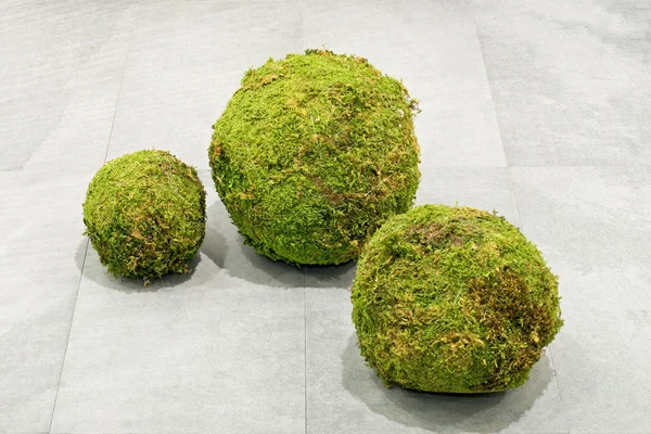 Травяные шарики — стоковое фото