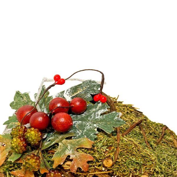 Moss and berry — Stock Photo, Image