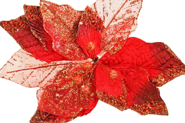 Röda blad — Stockfoto