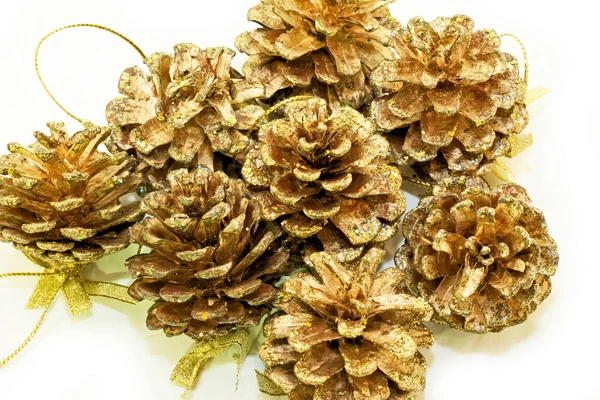 Glanzende pinecones — Stockfoto