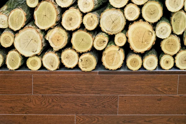Holz und Baumstämme — Stockfoto