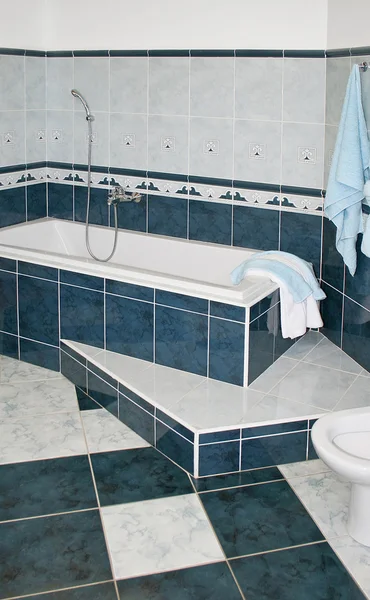 Mavi Banyosu — Stok fotoğraf