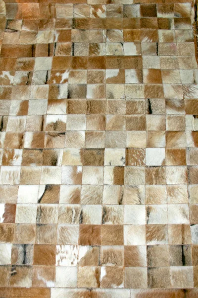 Kozí kobereček — Stock fotografie
