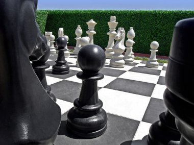 Chess in garden clipart