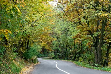 yol ahşap