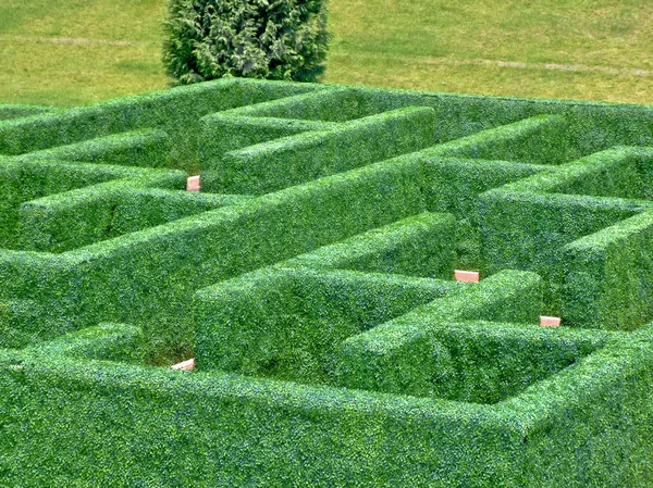 Maze garden — Stock Photo, Image