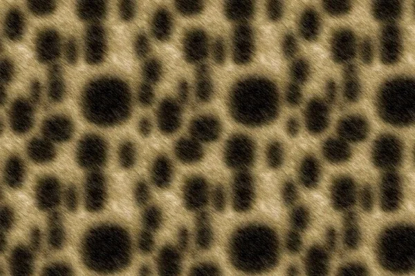 Gepardenhaut — Stockfoto