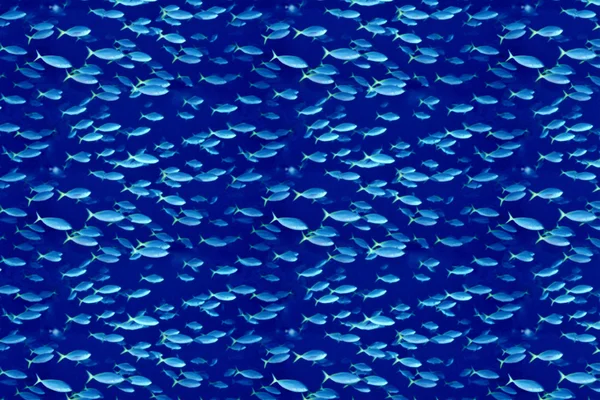 Fishy background — Stock Photo, Image