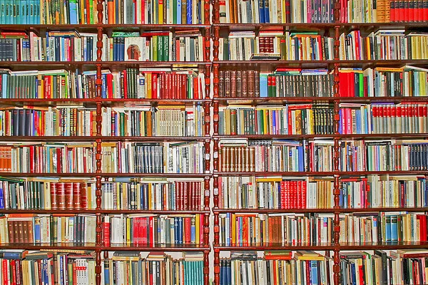Apenas livros — Fotografia de Stock