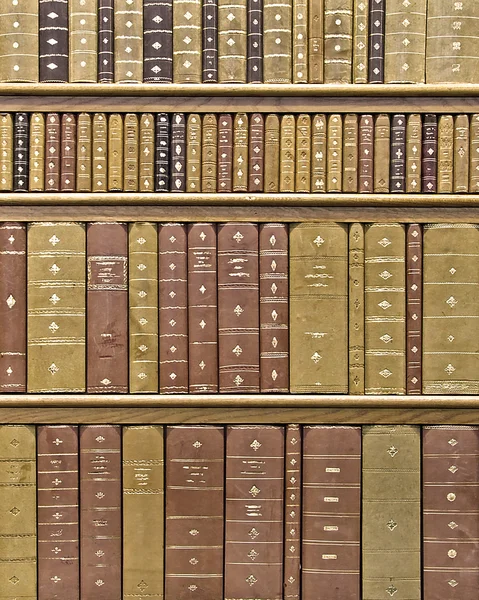 Biblioteket rack — Stockfoto