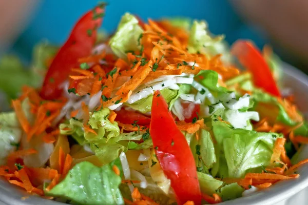 Ensalada de verduras —  Fotos de Stock