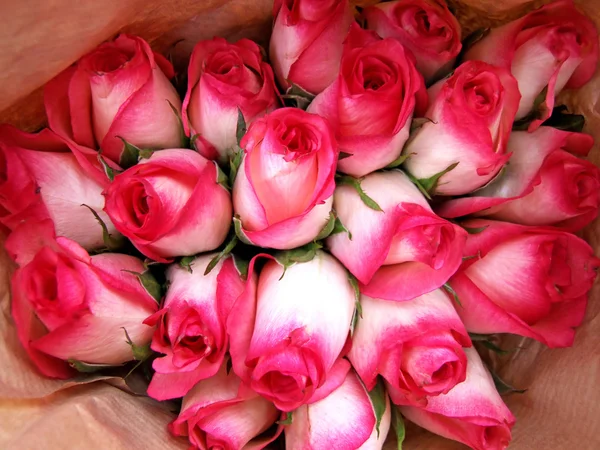 Bouquet rosa — Foto Stock