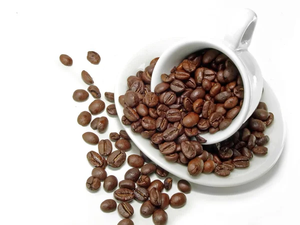 Kaffeebecher — Stockfoto