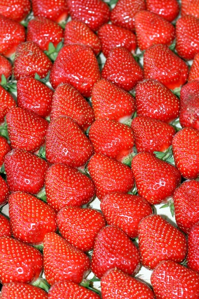 Sortare căpșuni — Fotografie, imagine de stoc