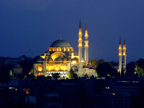 Mosquée des sultans — Photo