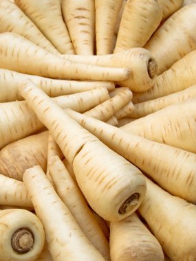 White Parsnip clipart