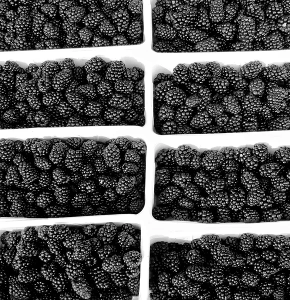 BlackBerry — стокове фото