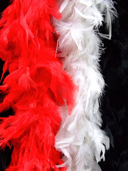 Fashion feathers — Stock Photo, Image