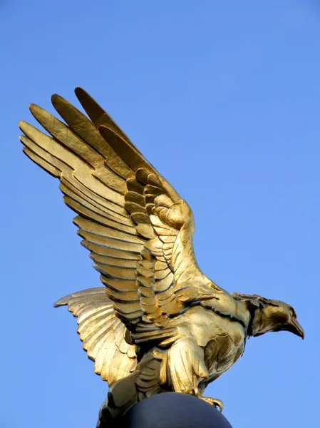 stock image Golden eagle