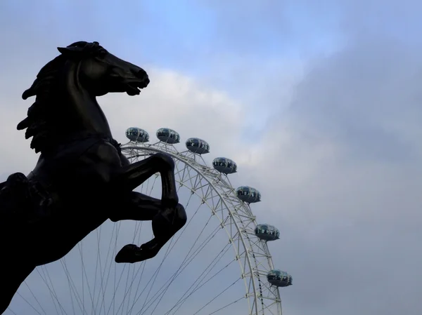 Stock image Horse and eye