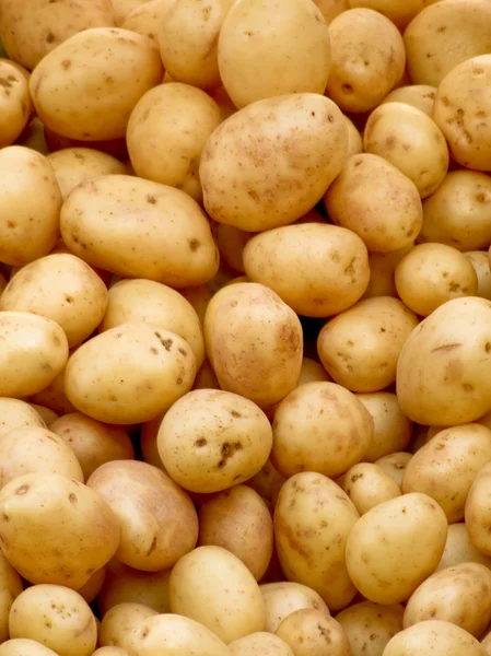 Biologische aardappelen — Stockfoto